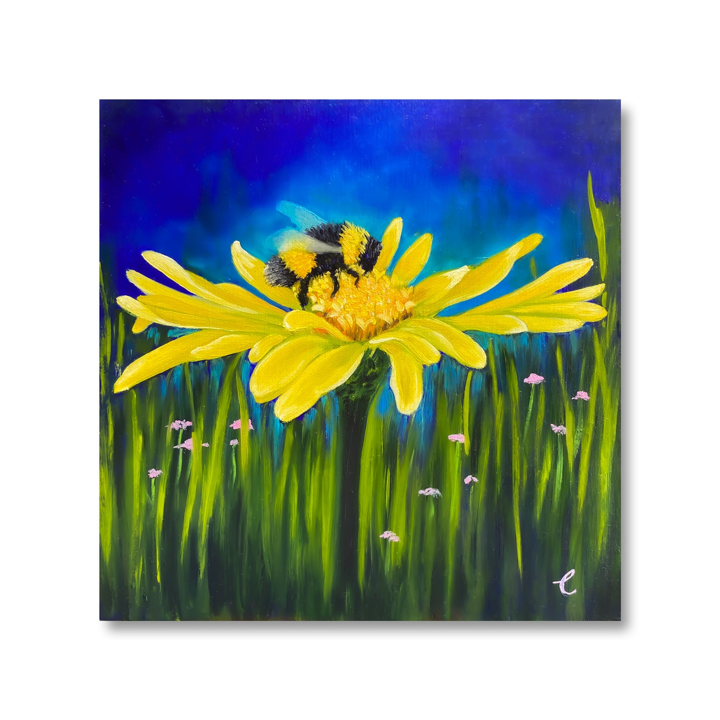 Yellow Zinnia with Bumblebee