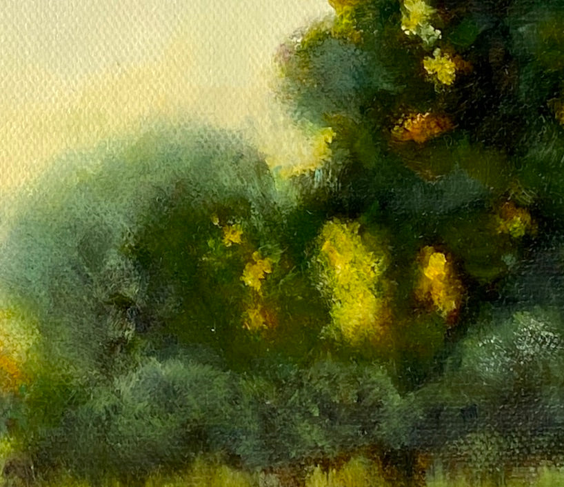 Close-up of a textured green and yellow surface