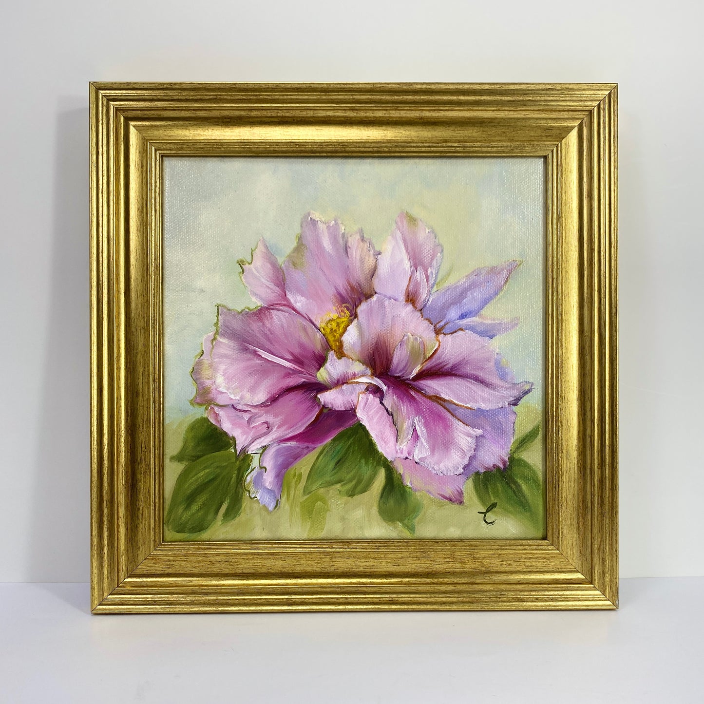 Blush Peony in Bloom