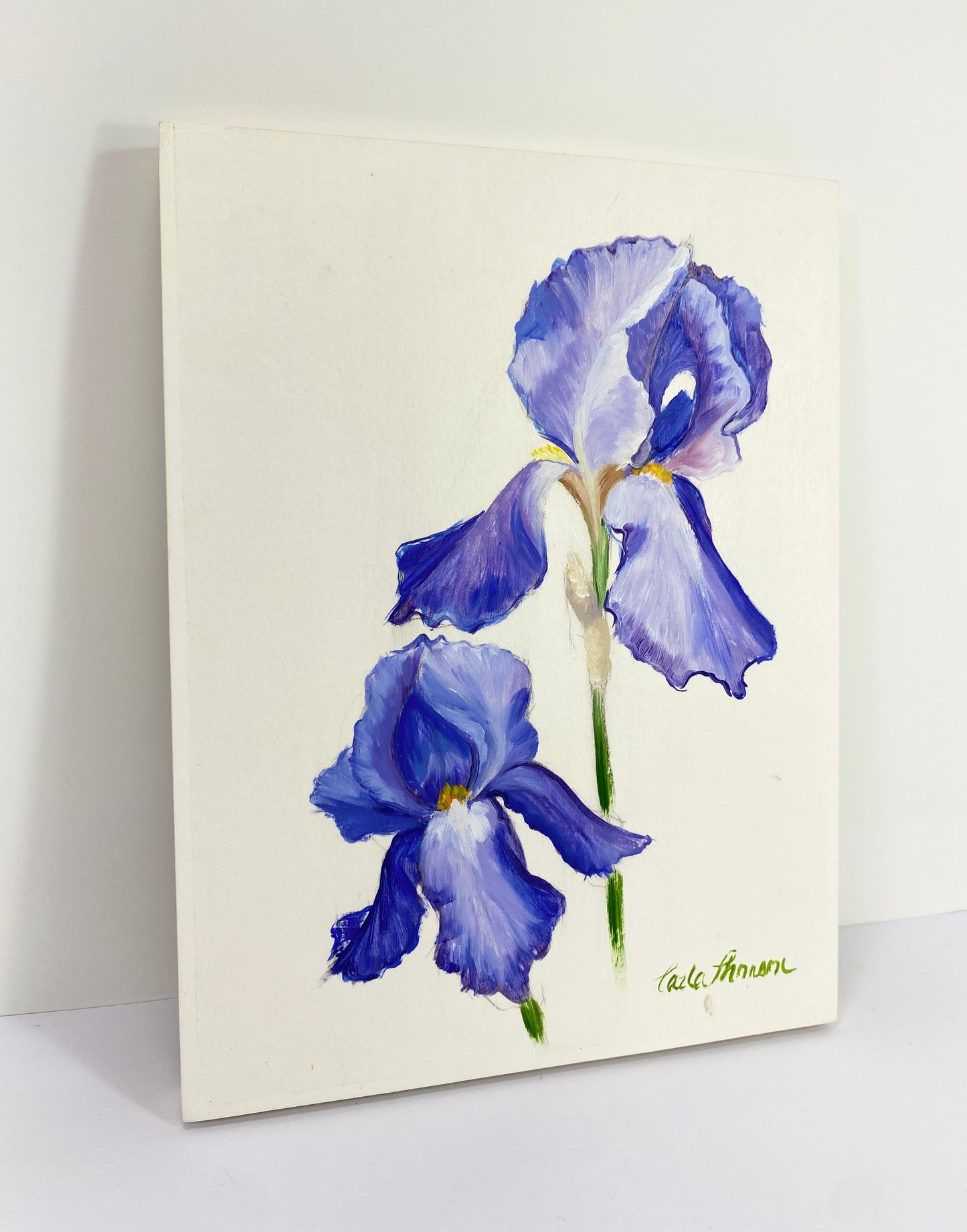 Iris Study II