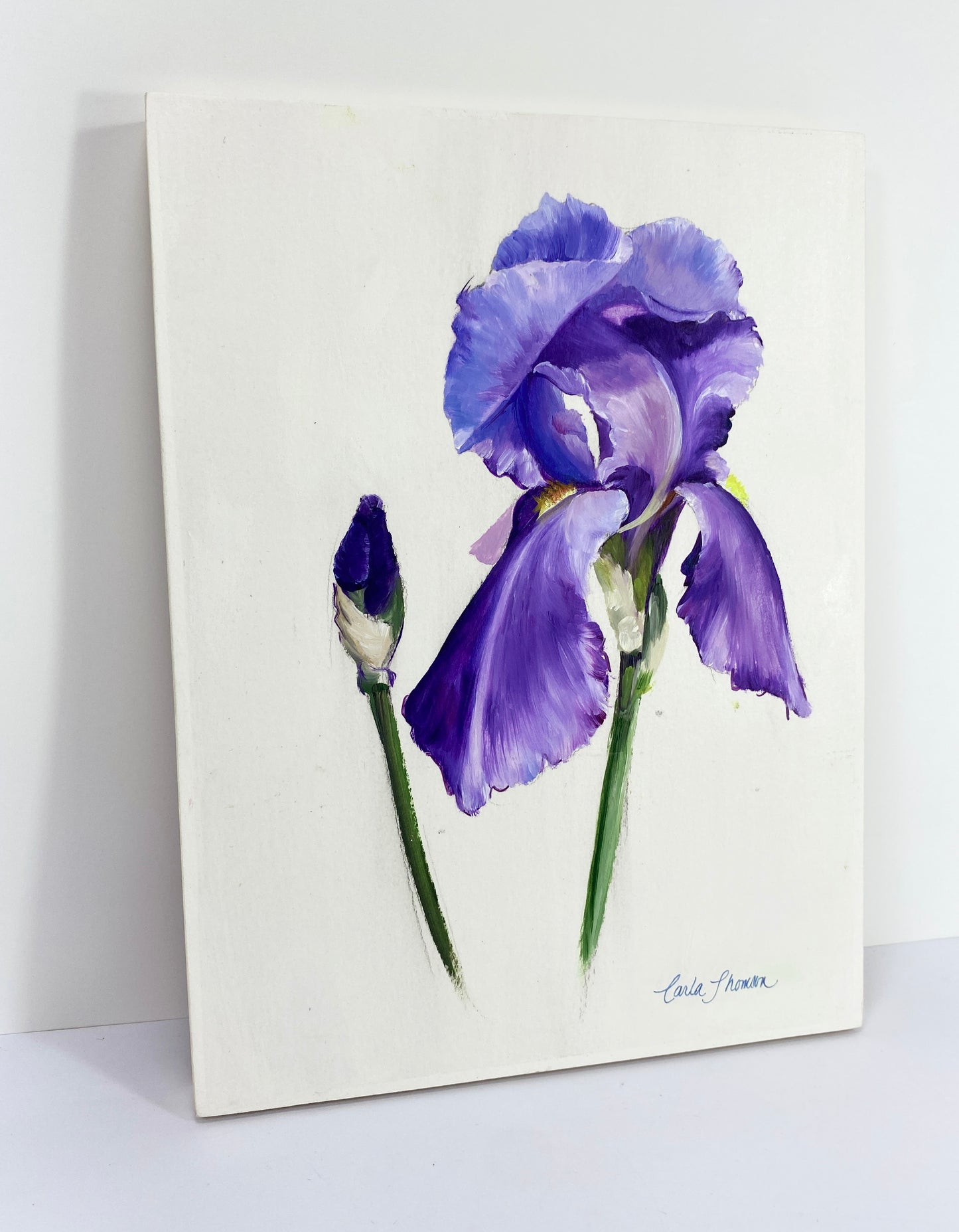 Iris Study
