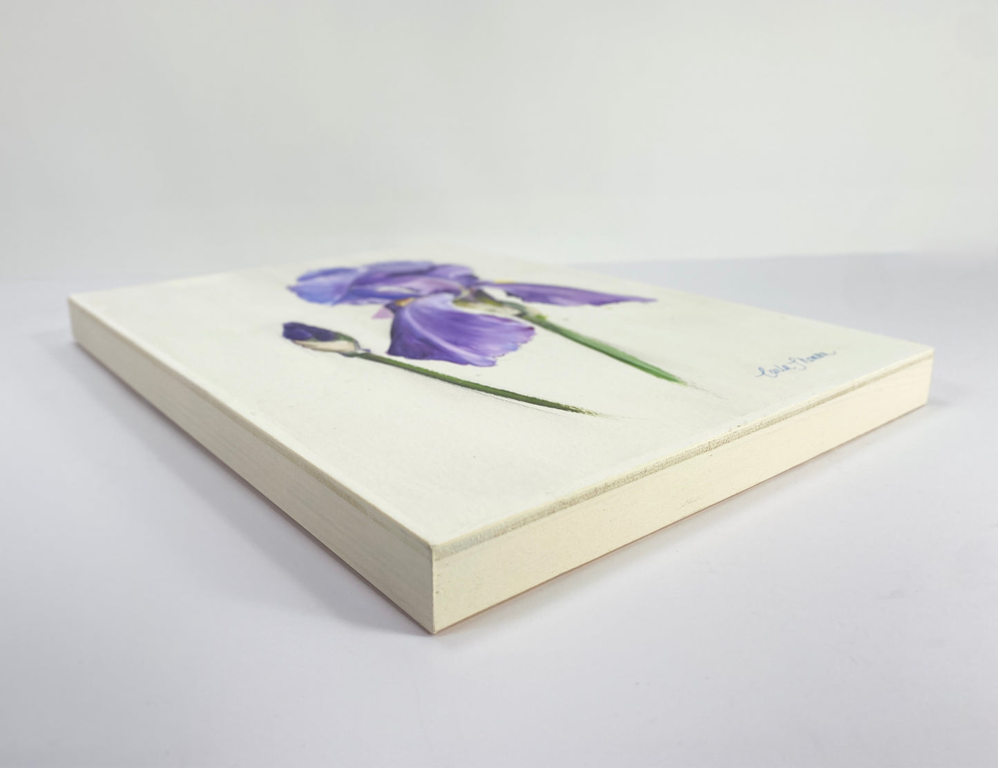 Iris Study