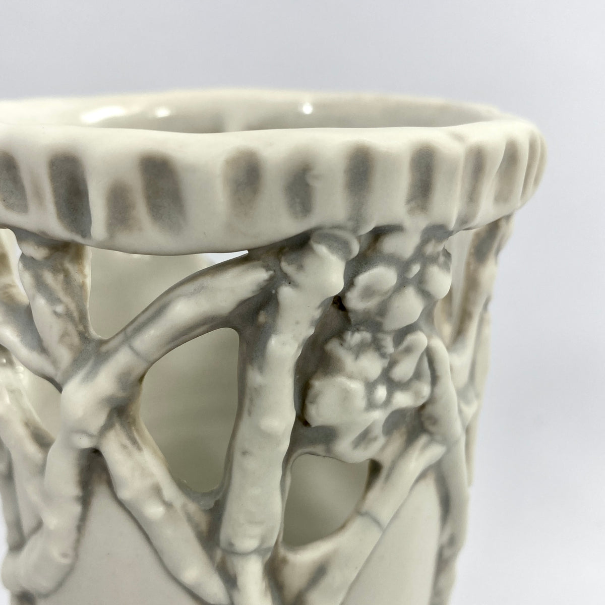 Botanical Relief: Coastal — Driftwood