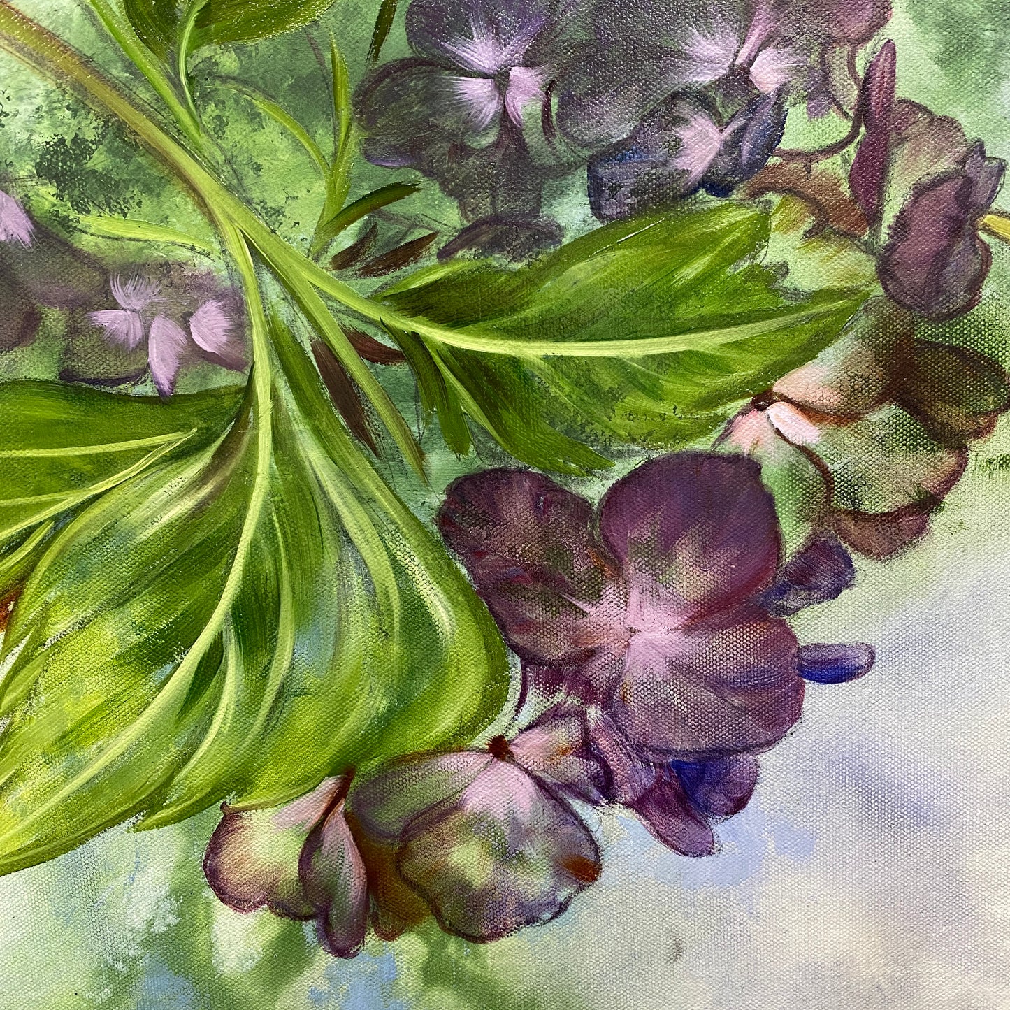 Entwined: Hydrangeas