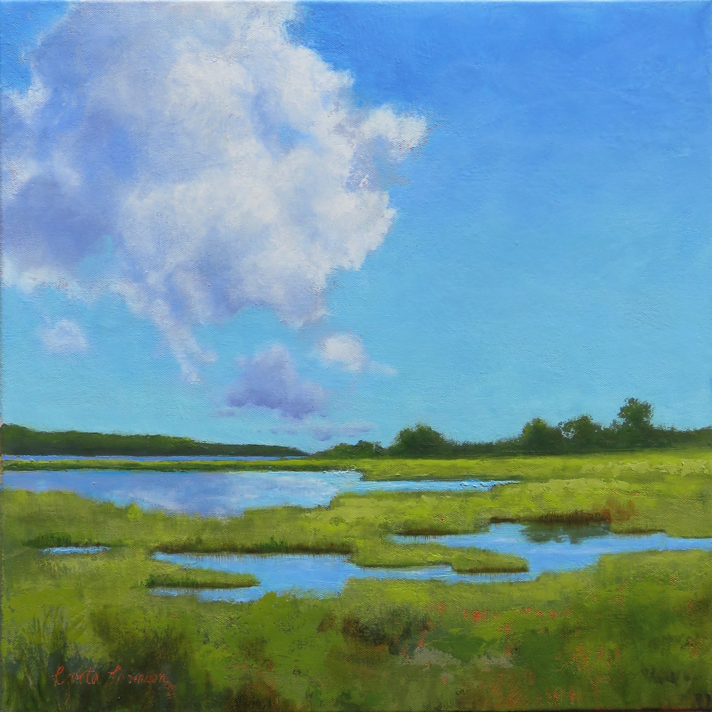 Marsh II