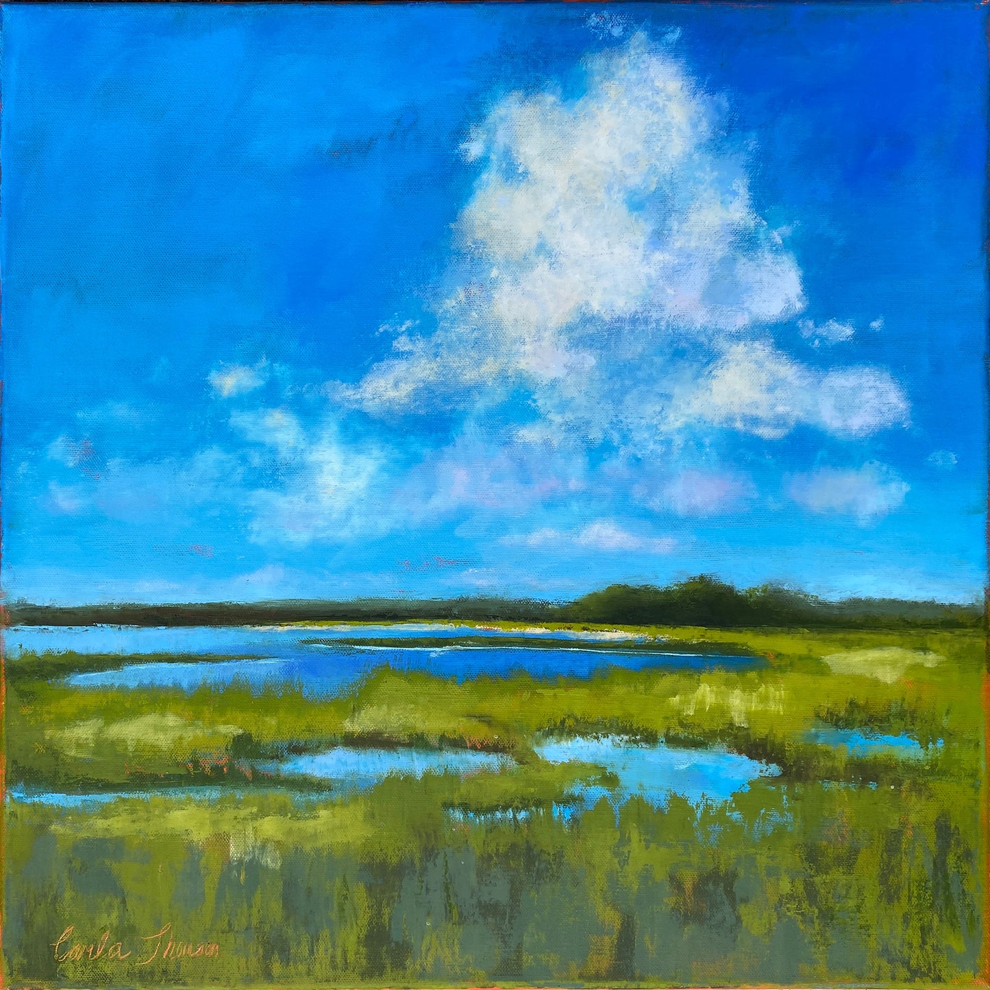 Marsh I