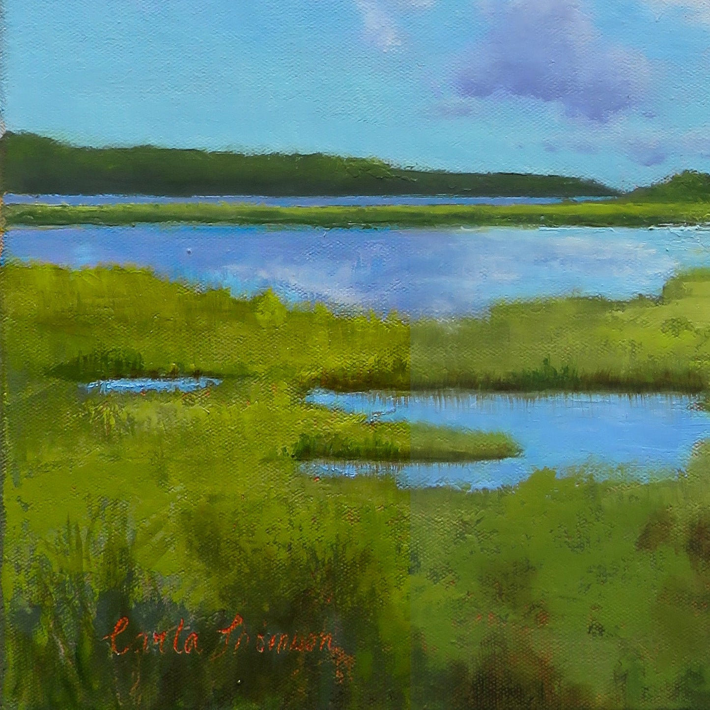 Detail of artist signature Marsh II oil painting by Carla Thomson revealing a bright red underpainting.
