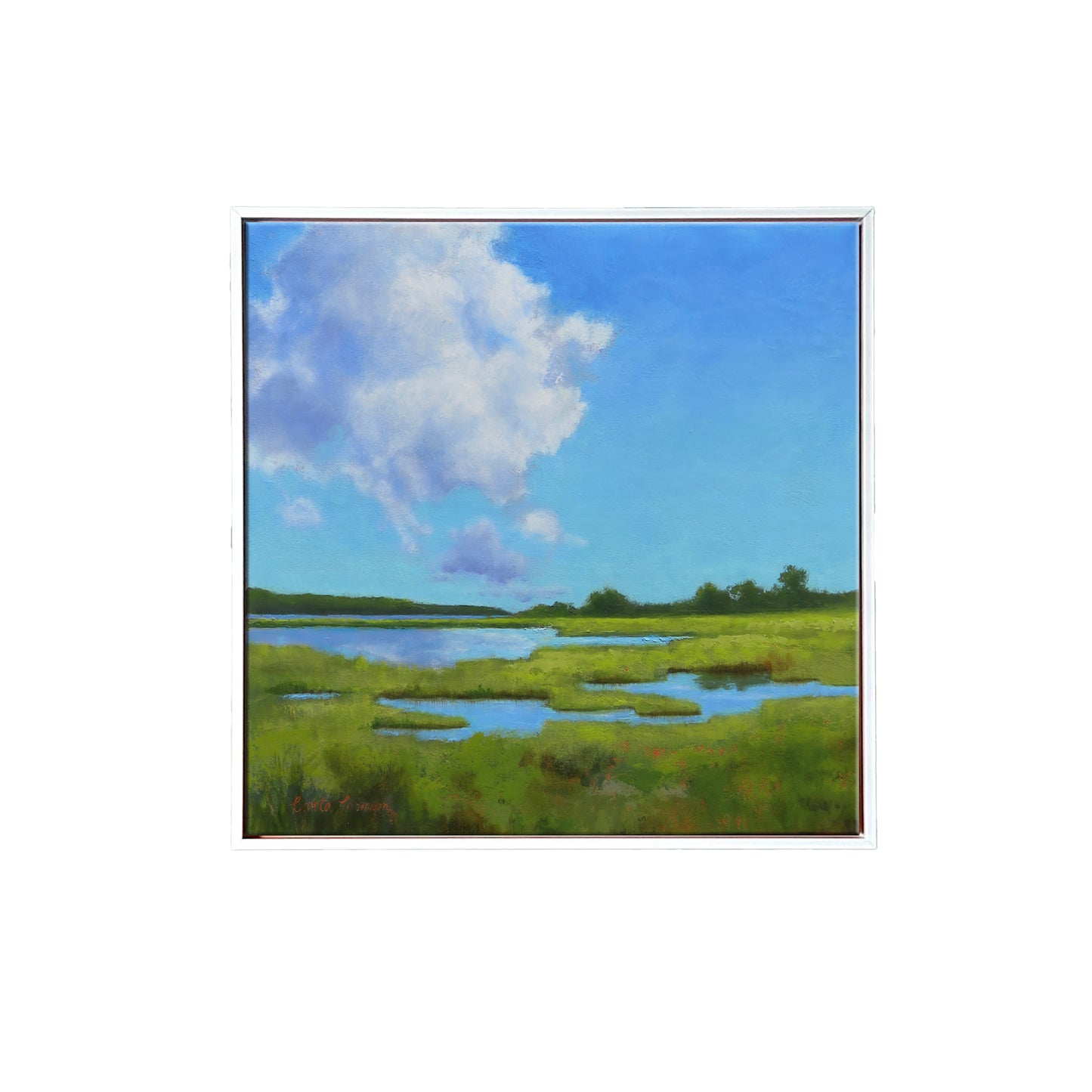 Marsh II