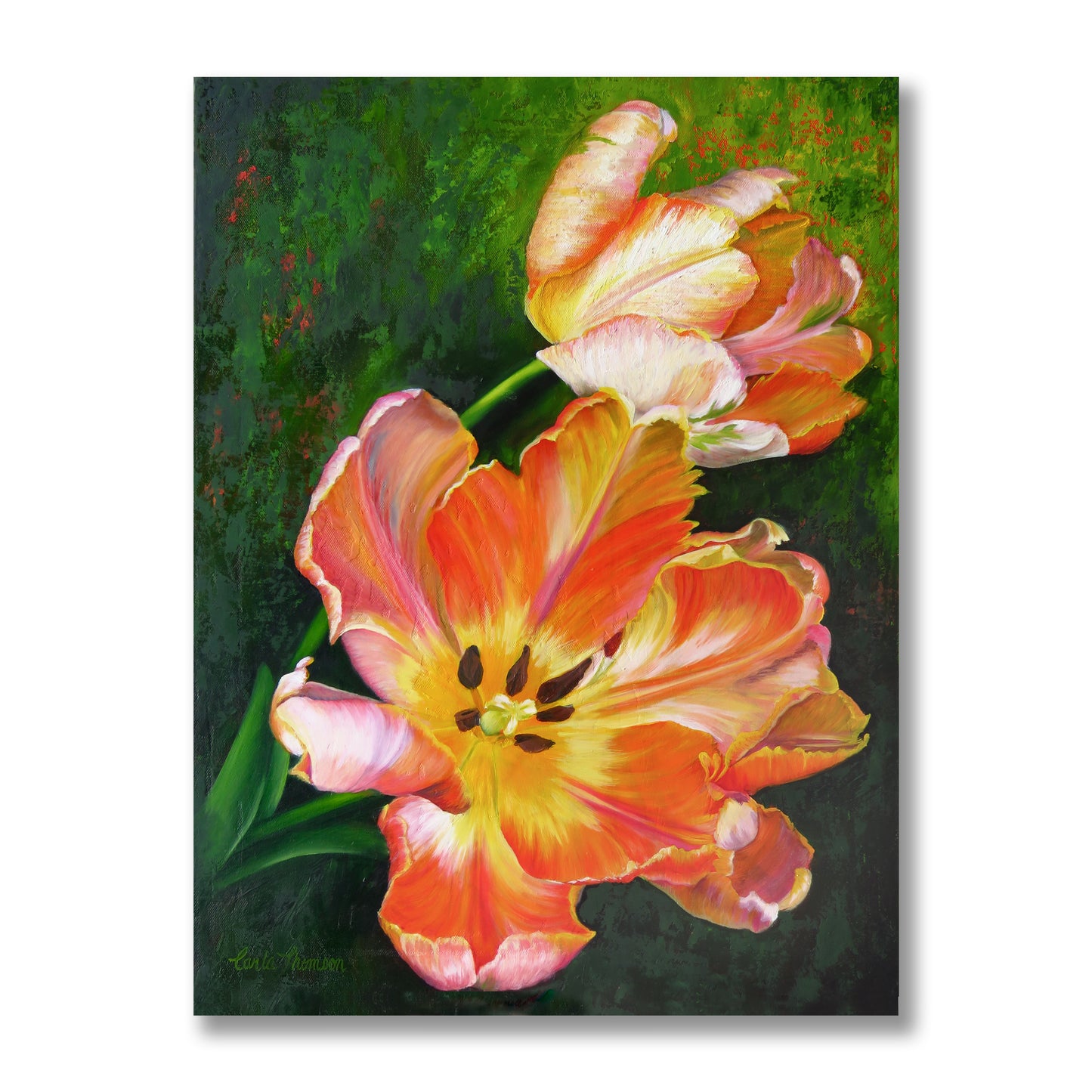 Orange & Apricot