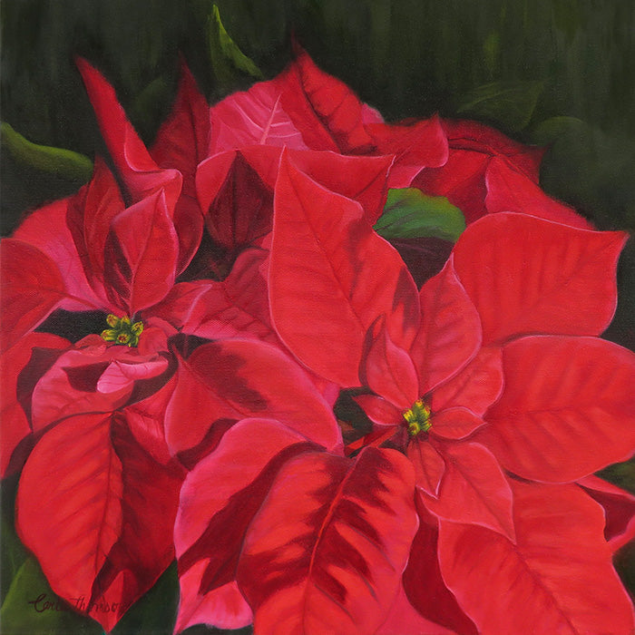 Winter Reds - A celebration of nature’s elegance.