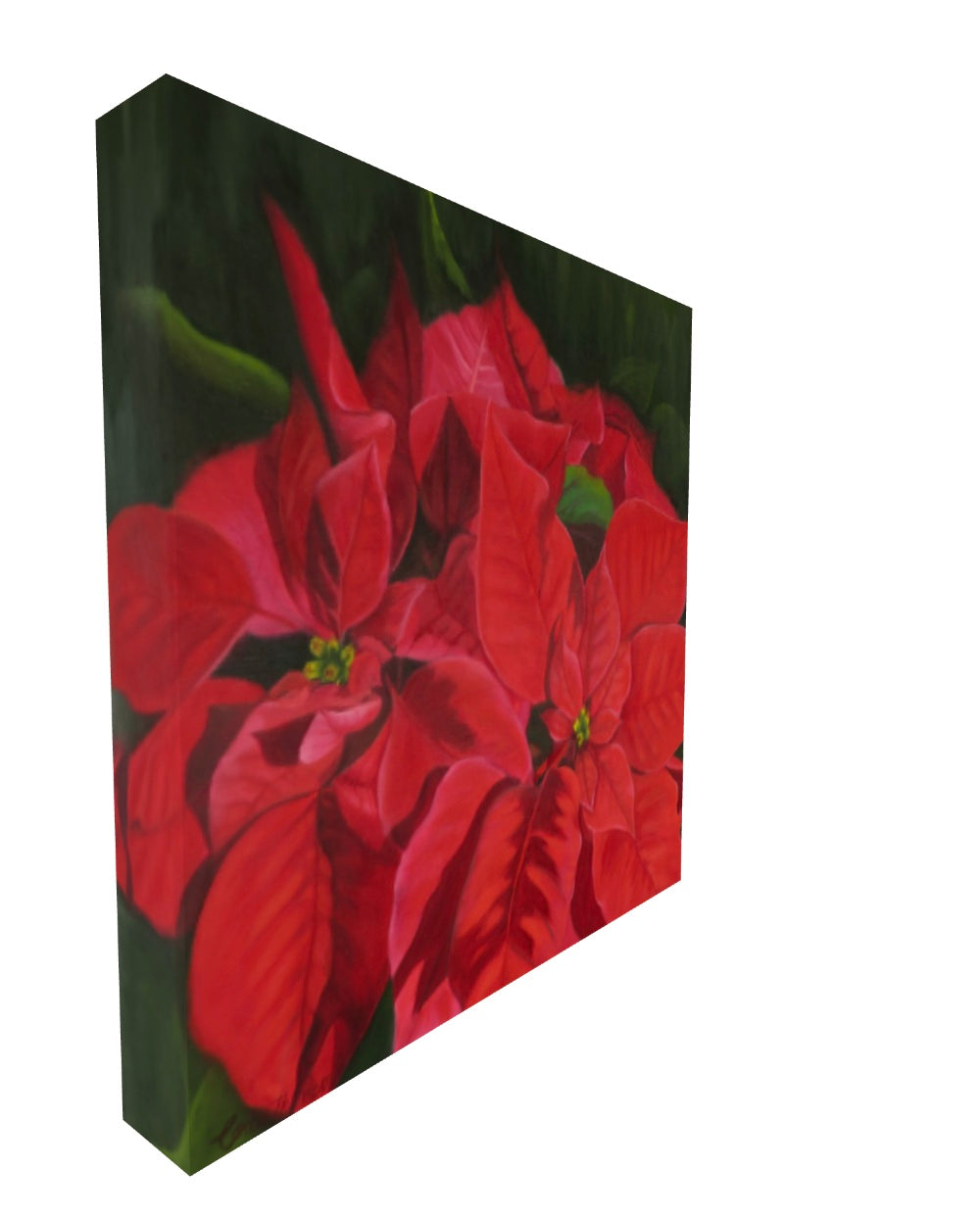 Winter Reds - A celebration of nature’s elegance.