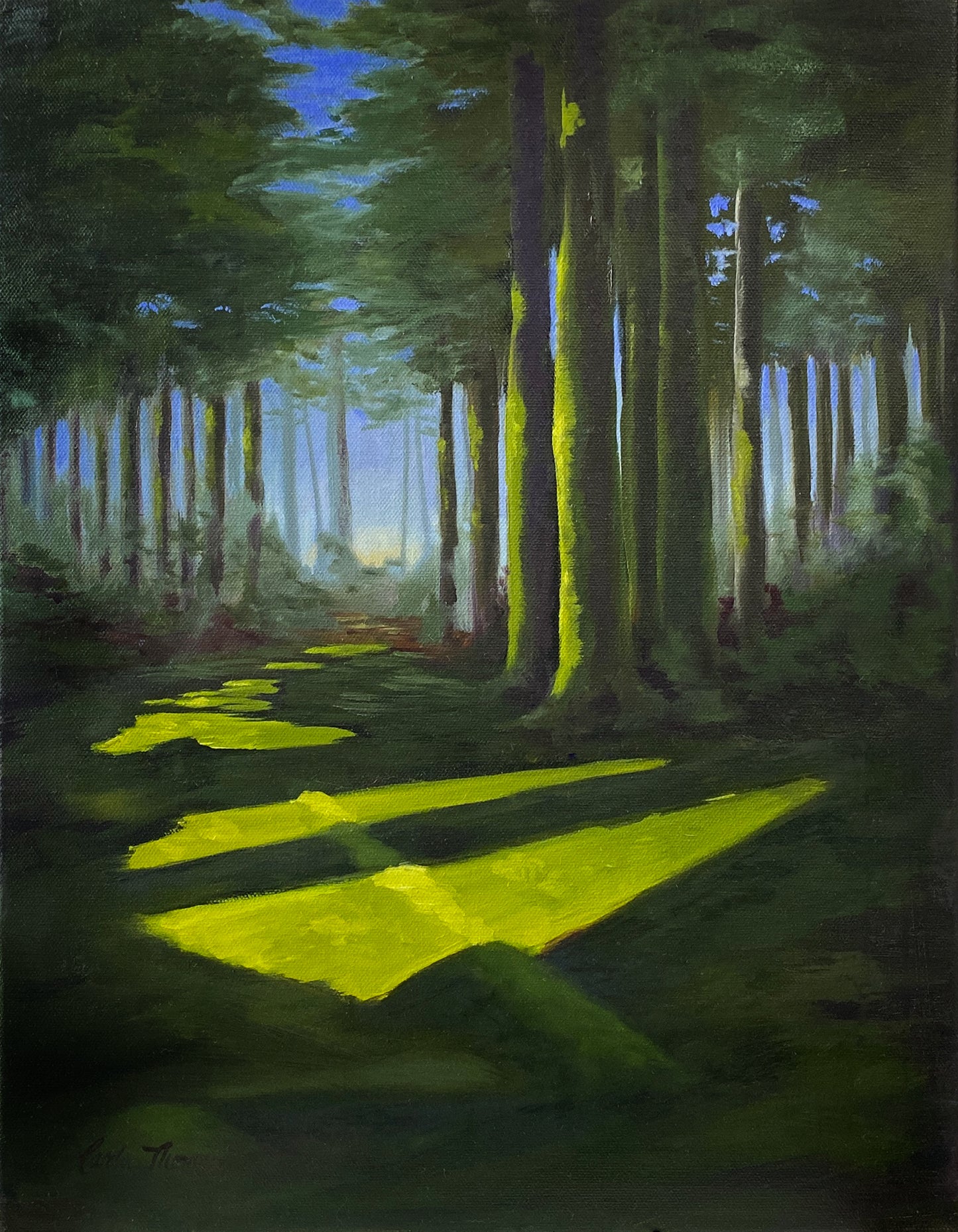 Woodland Light