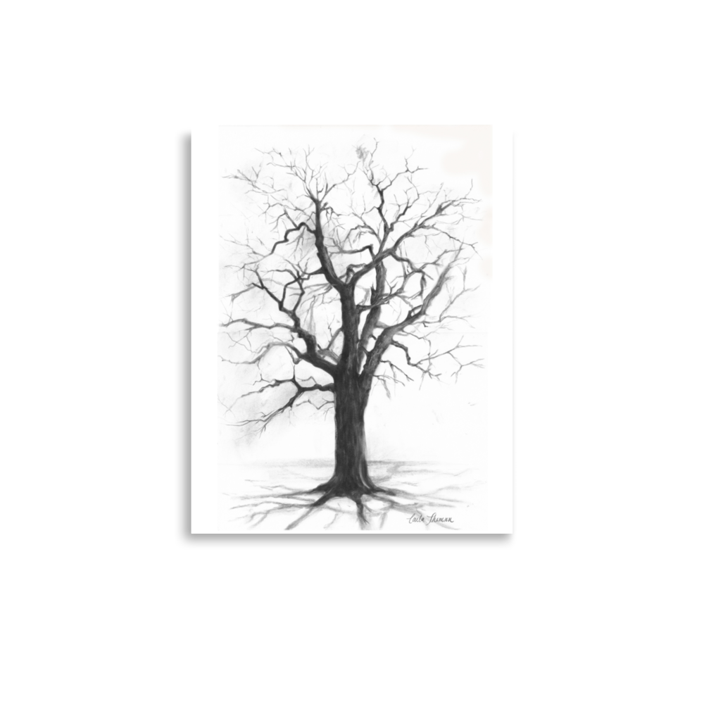 Charcoal Sketch of Tall Oak Tree