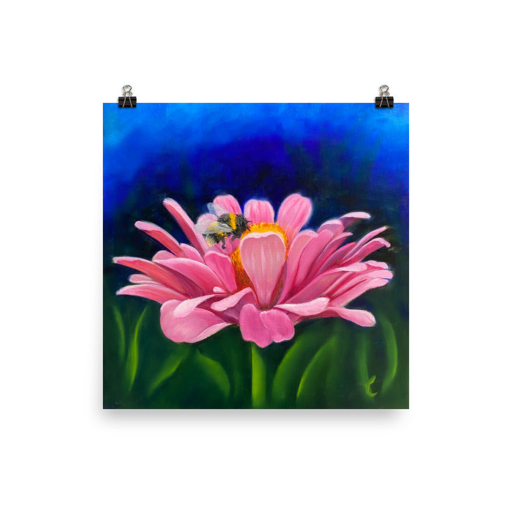 Pink Zinnia with Bumblebee