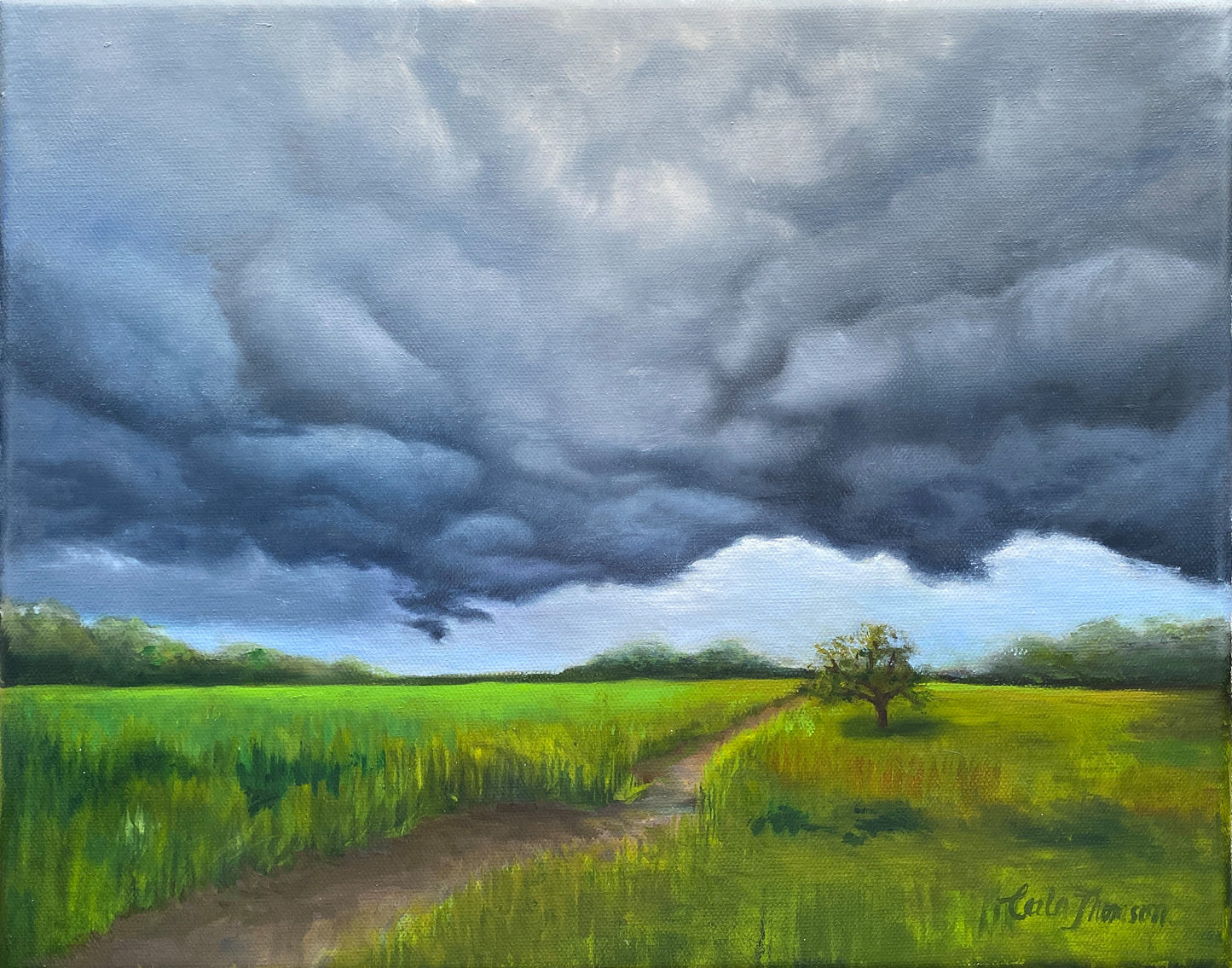 Study of a Dream III