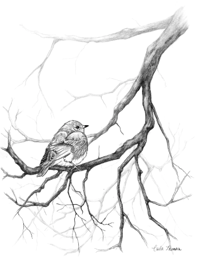 Resting