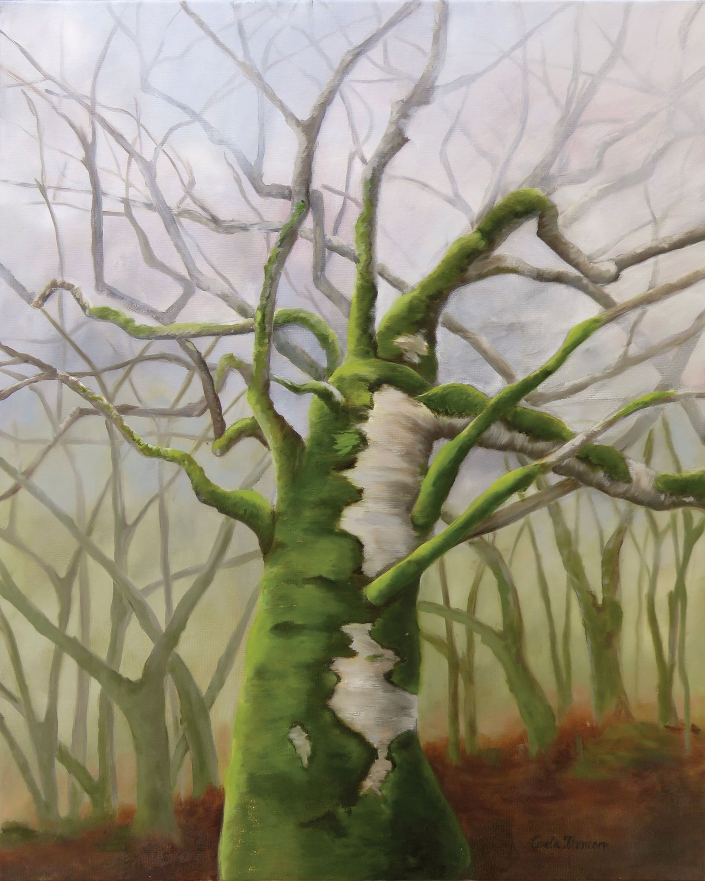Mossy Tree