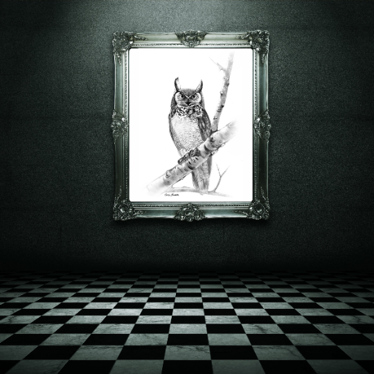 Woodland Owl Charcoal Drawing