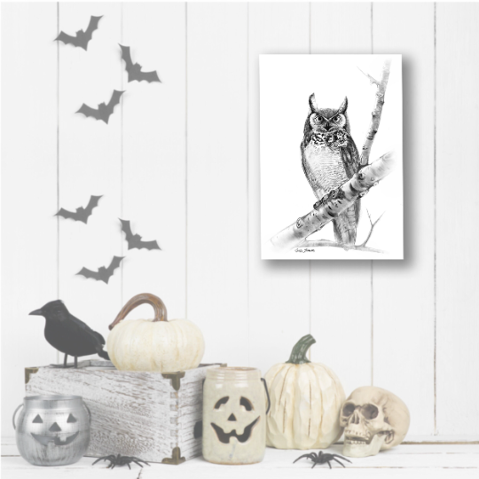 Woodland Owl Charcoal Drawing
