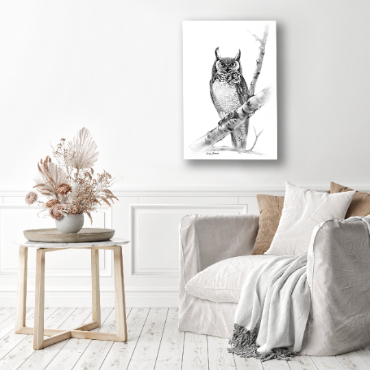 Woodland Owl Charcoal Drawing
