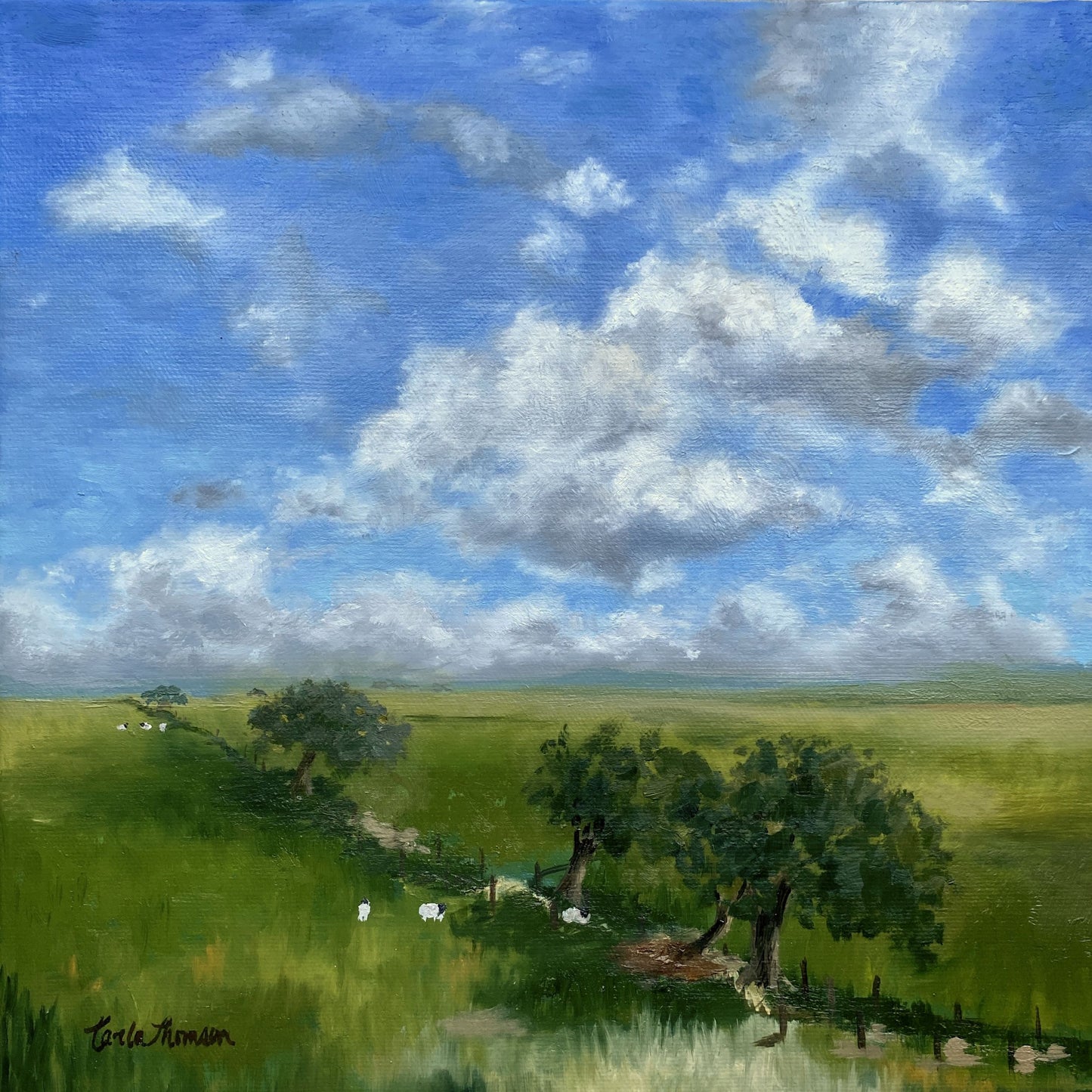 Scottish Countryside