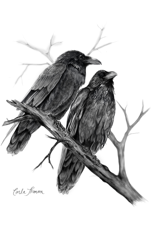 Ravens for Jeremy