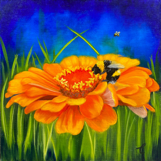 Orange Zinnia with Bumblebee