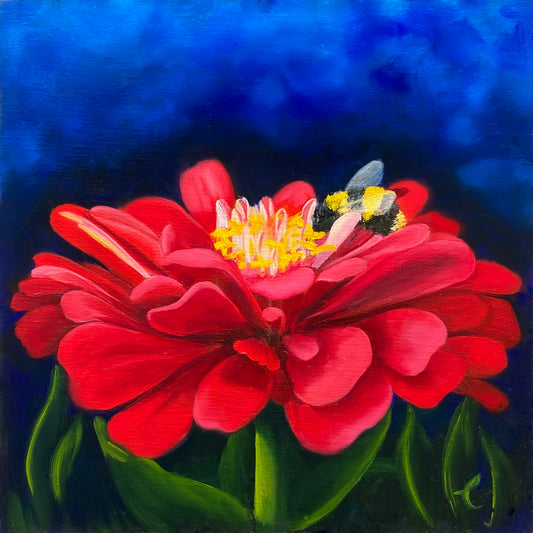 Red Zinnia with Bumblebee