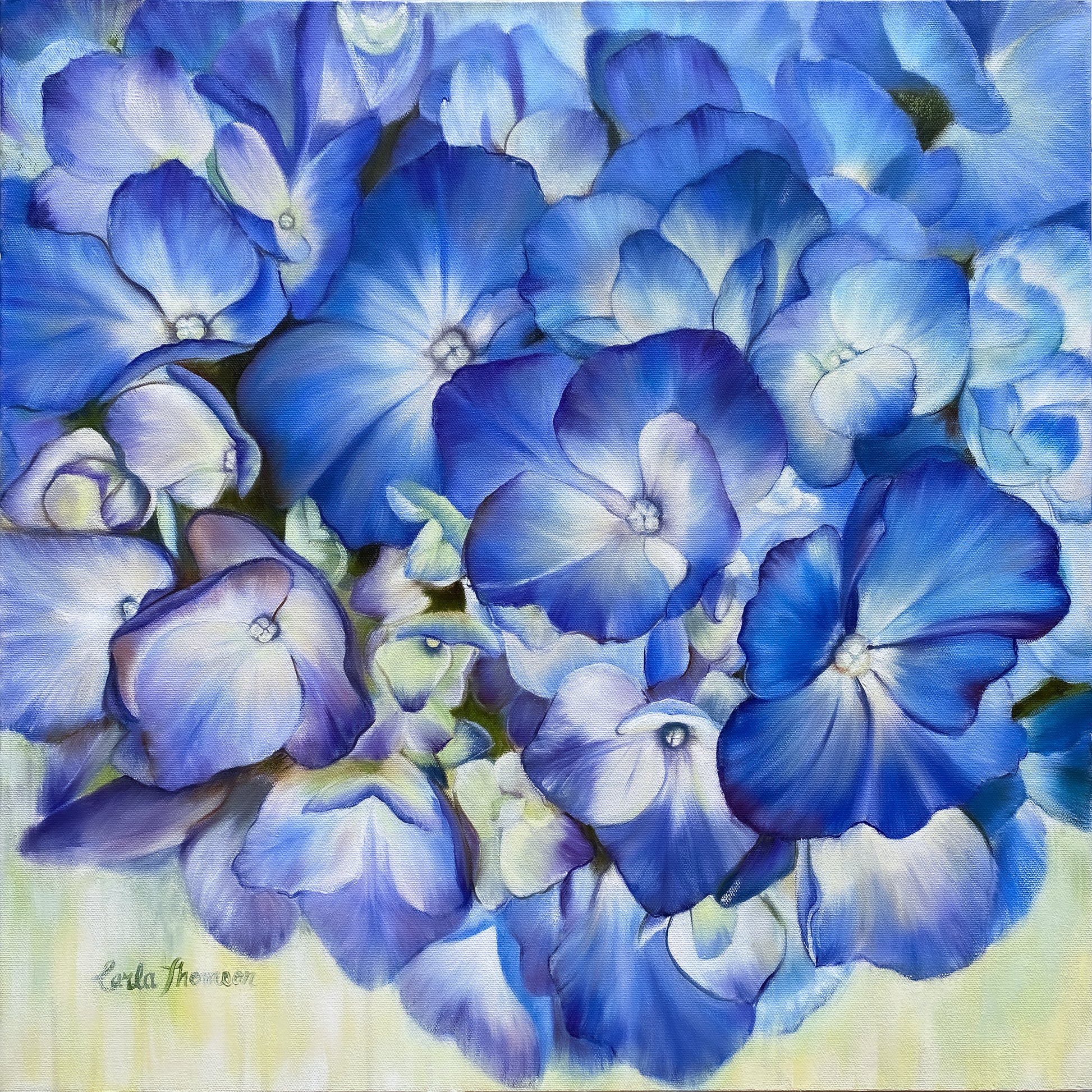 Close-up of blue hydrangea flower with a blurred background