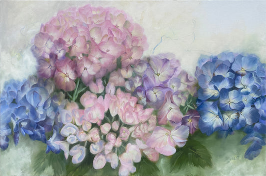 Original 24x36 inch oil painting of hydrangeas in soft pastel hues by Carla Thomson.