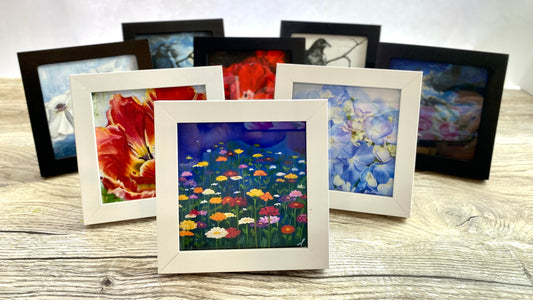 Mini 4x4 Canvas Prints Framed