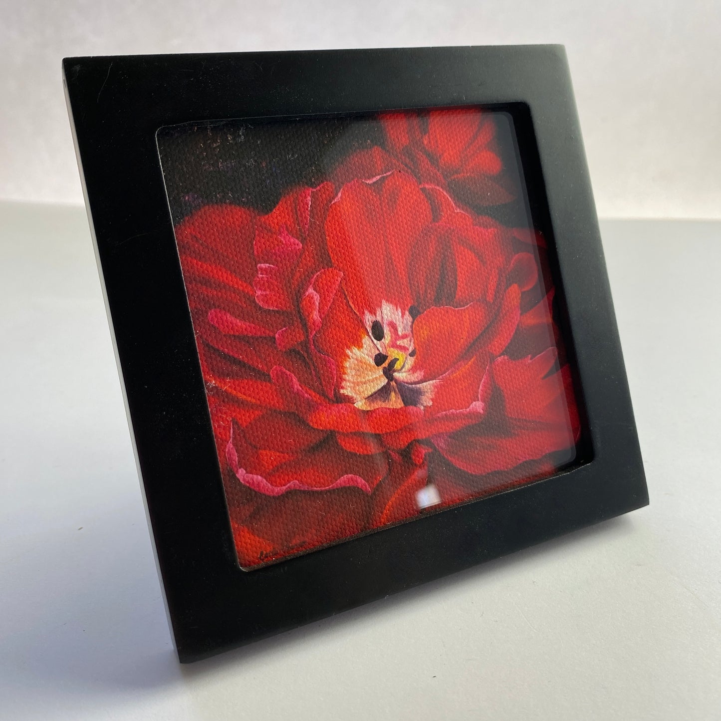 Mini 4x4 Canvas Prints Framed