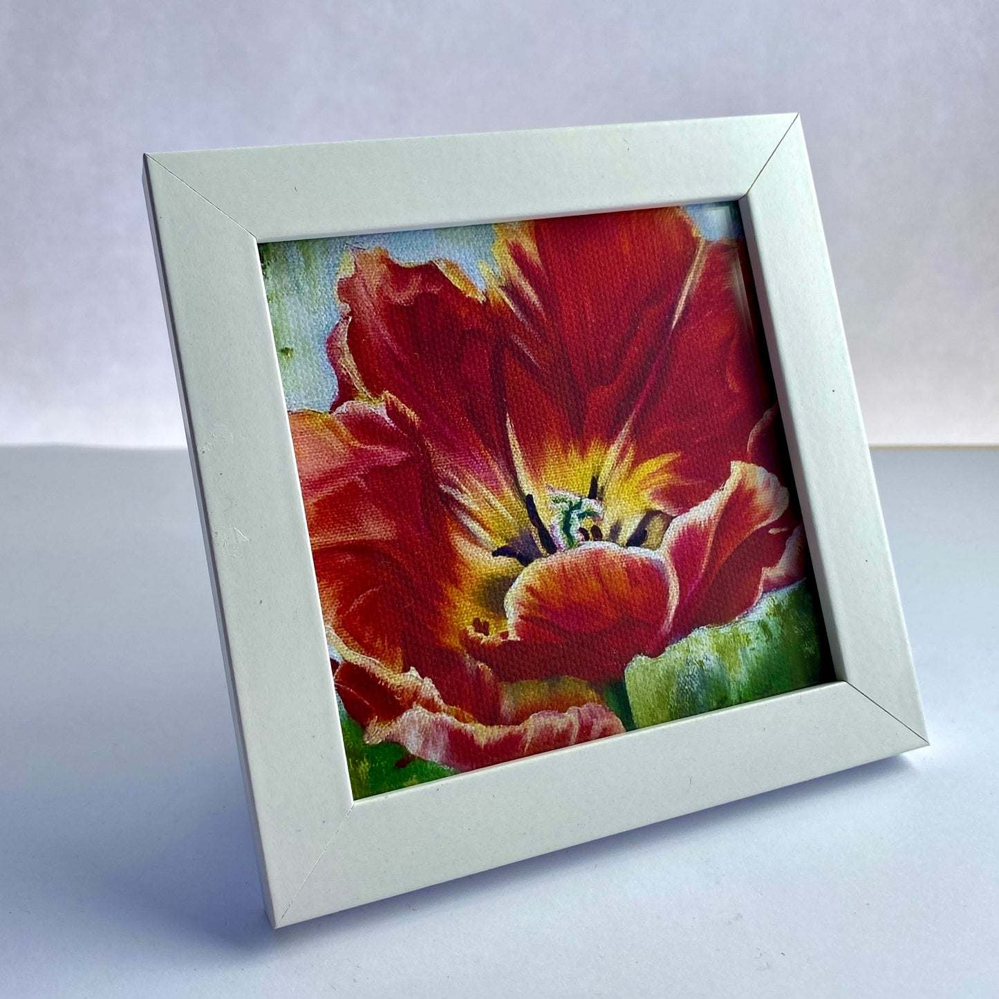 Mini 4x4 Canvas Prints Framed