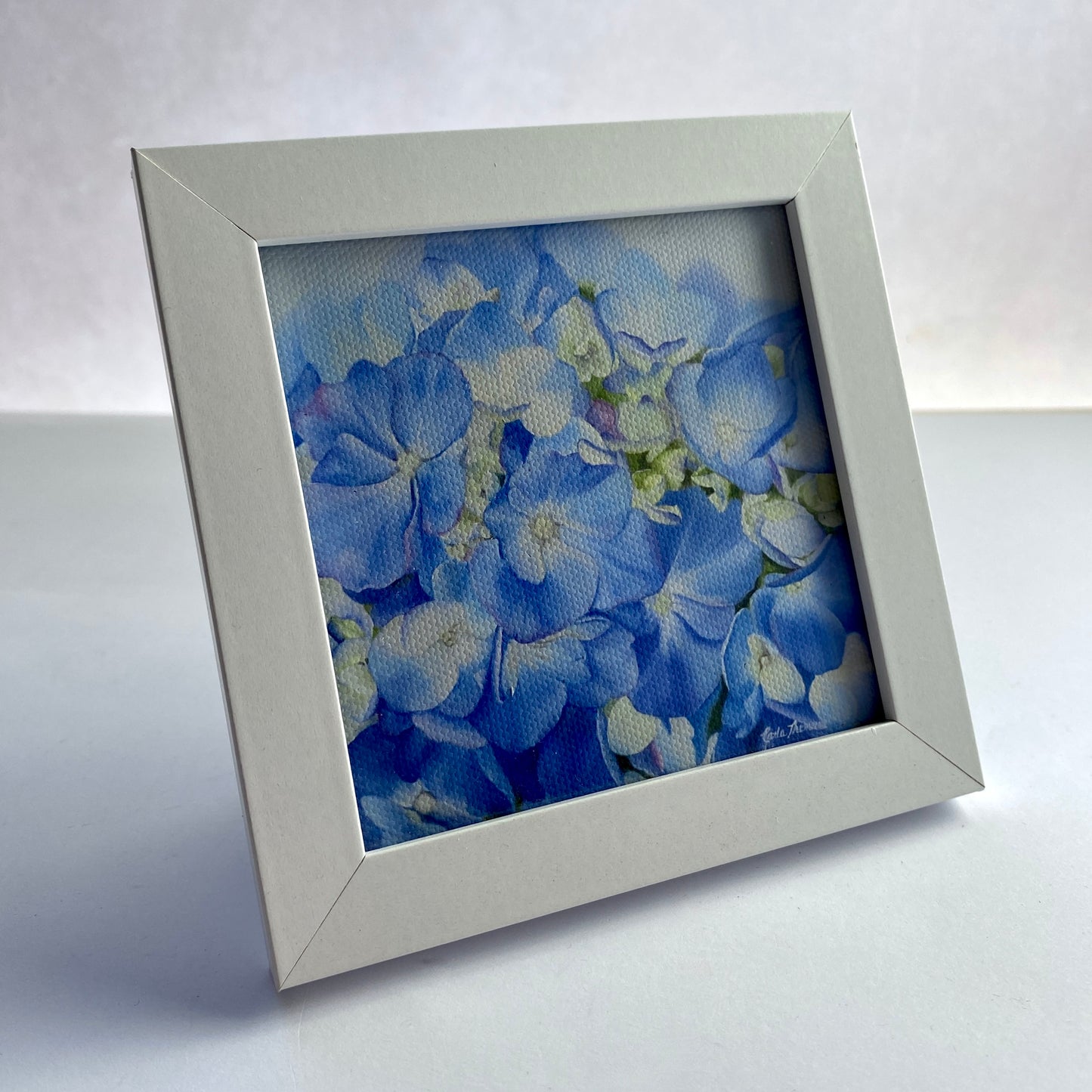 Mini 4x4 Canvas Prints Framed