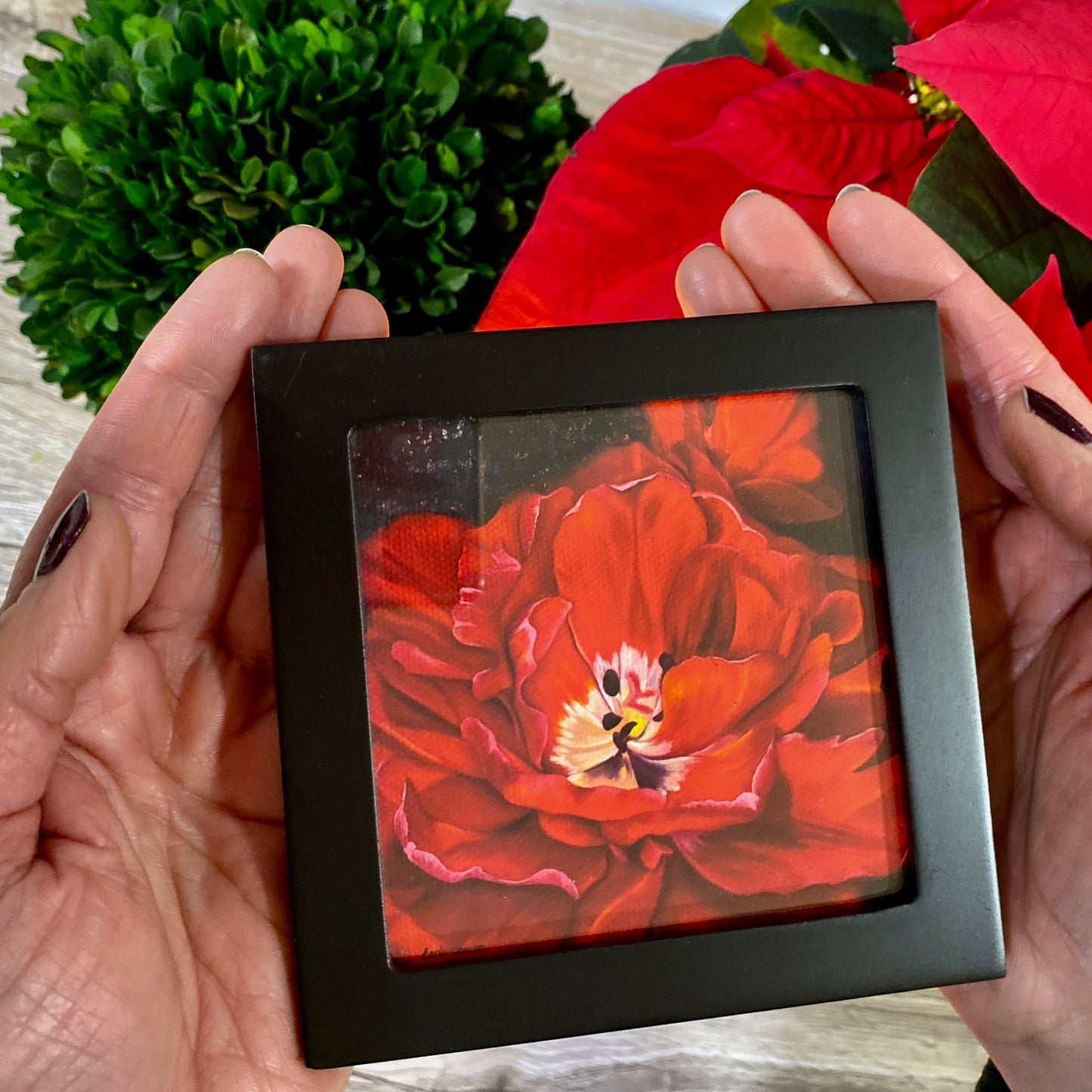Mini 4x4 Canvas Prints Framed