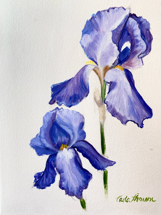 Iris Study II