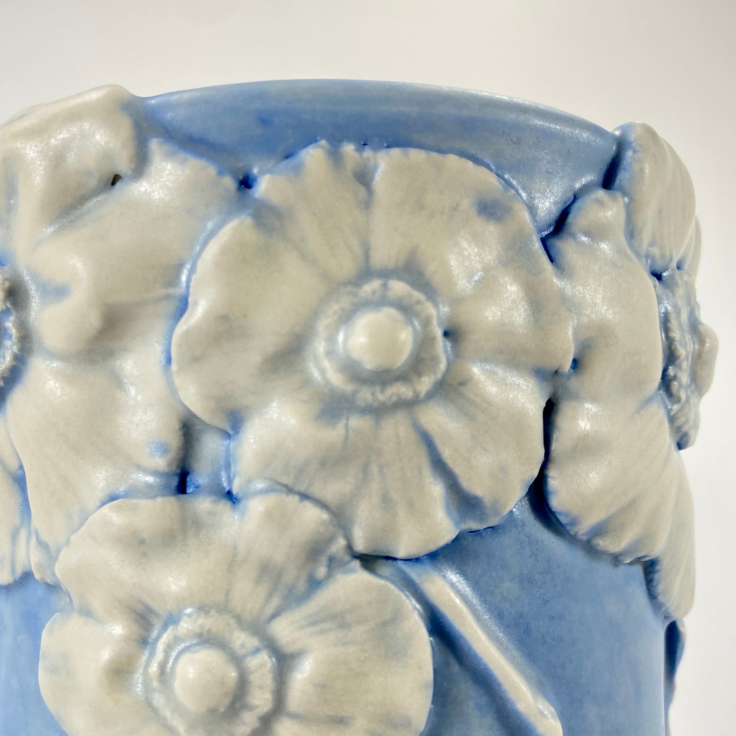 Botanical Relief in Sky