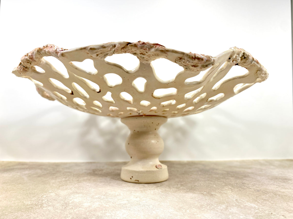 Openwork: Coastal — Sanddollar, front view on neutral surface showing full width and radiating openwork pattern