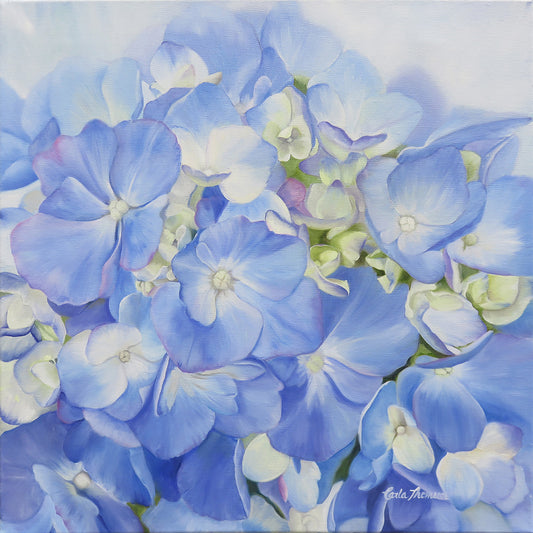 Light Blue Hydrangea Print