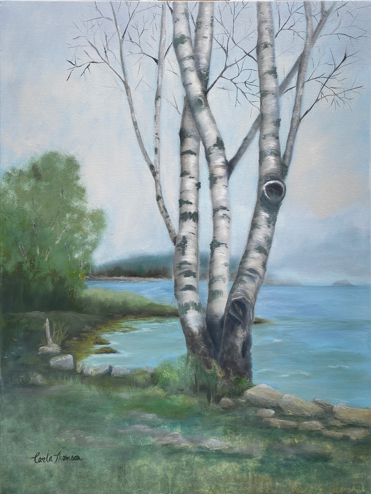 Rooted in the Shore