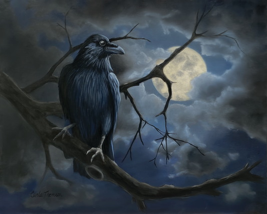 Shadow Print, Raven in Moonlight