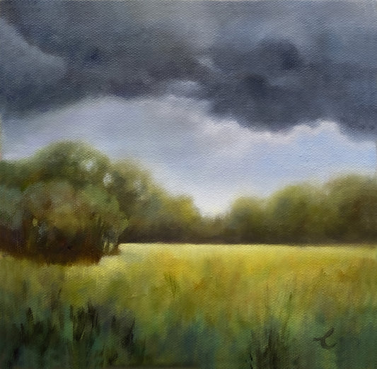 Original oil Painting of a field with trees under a dark stormy sky