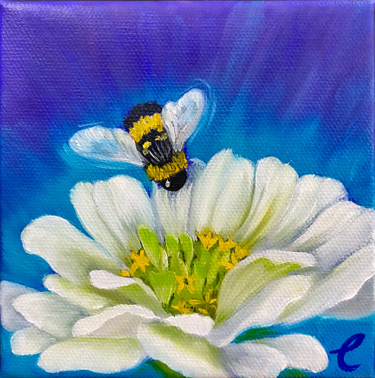 Mini Painting Bumblebee on Zinnia