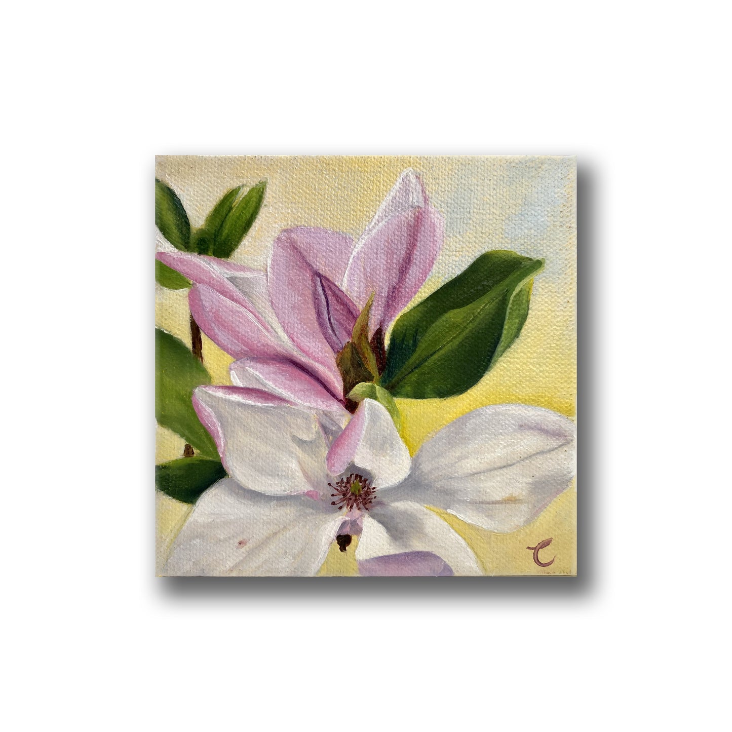 Mini Magnolia Original Oil Painting