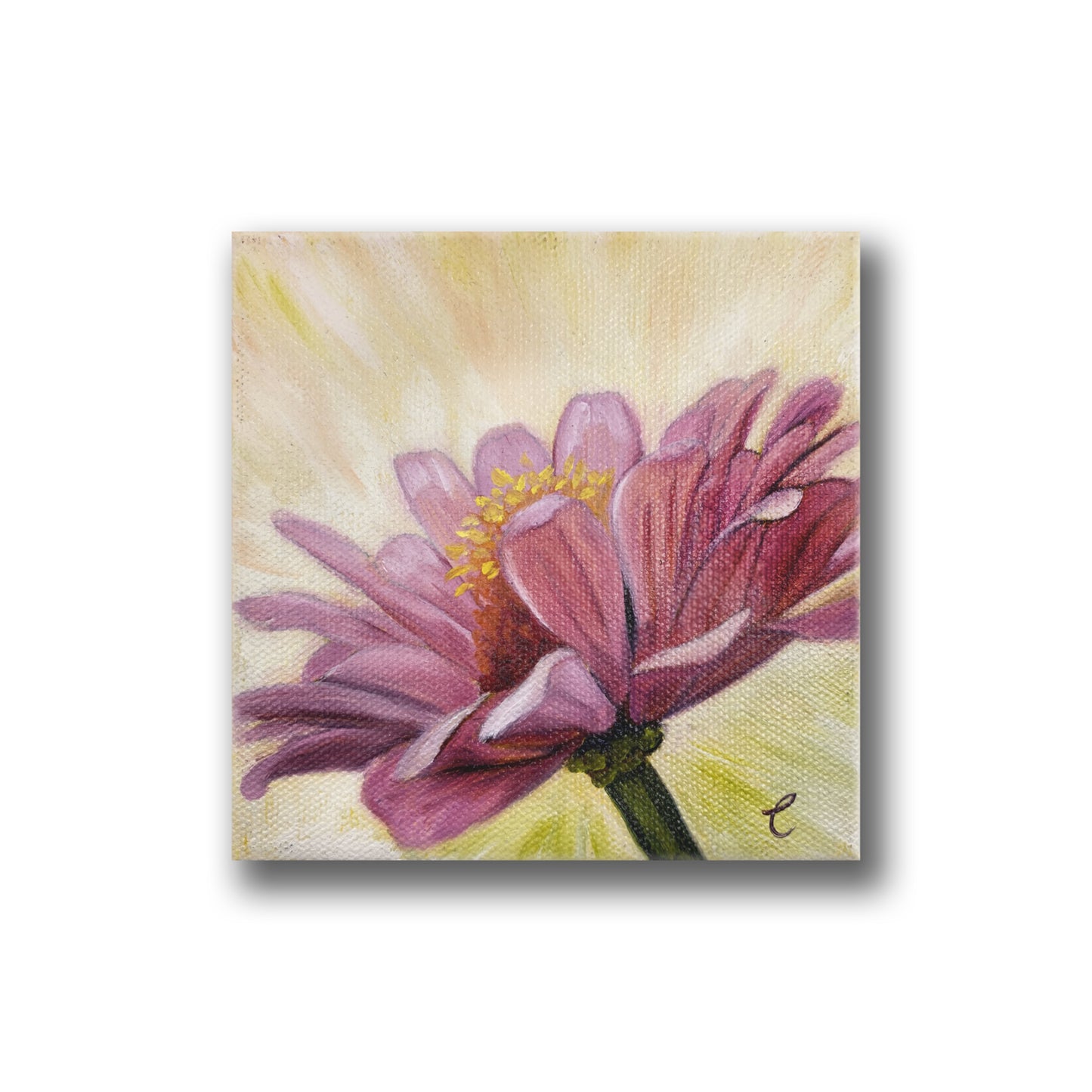 Mini Pink Zinnia Flower Original Oil Painting
