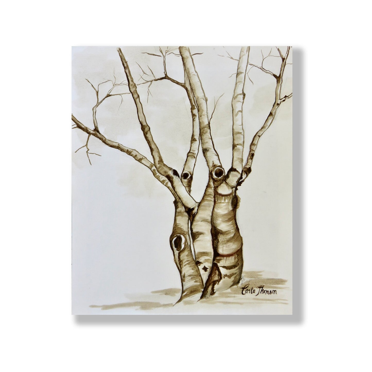 Birches I Oil Drawing